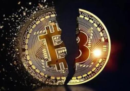 维卡币 维卡币2024年12月有新消息吗 维卡币最新消息介绍 